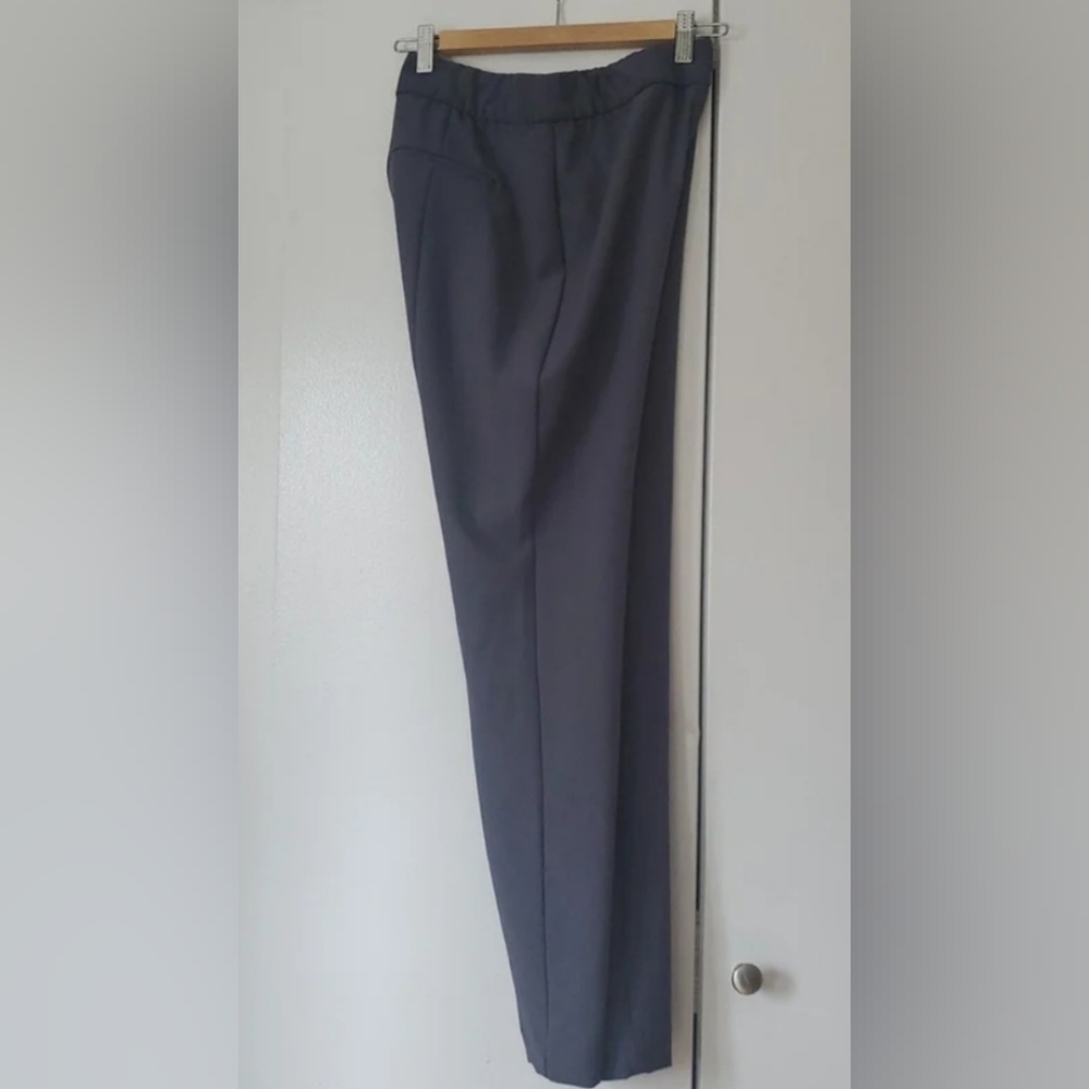 Express Dress Pants